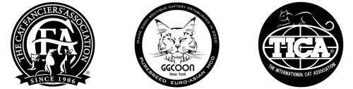 Gentle Giants, Maine Coons, GGCOON